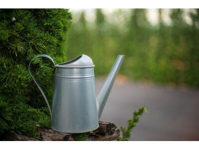 Лейки для полива