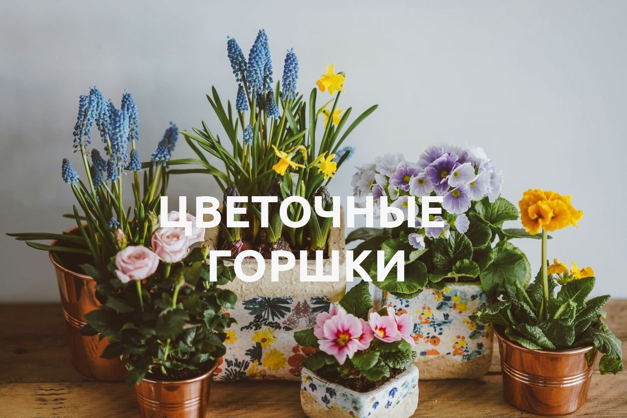 ЦВЕТОЧНЫЕ ГОРШКИ