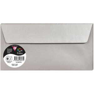 5 Umschläge Pollen 110x220 mm - Silber