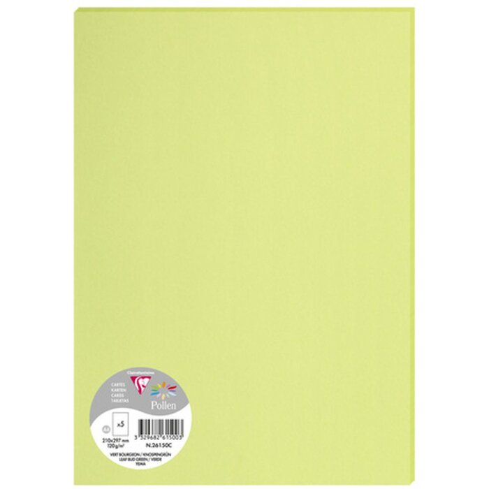 Картон Clairefontaine DIN A4 120 г, зеленый с оттенком бутона, 5 листов