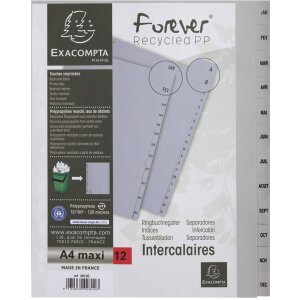 Регистратор для рингбуков Exacompta, A4 XXL, серый, 12 отделений