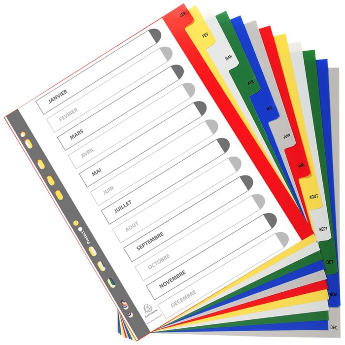 Регистр Exacompta 92E DIN A4 с 12 цветными ярлыками