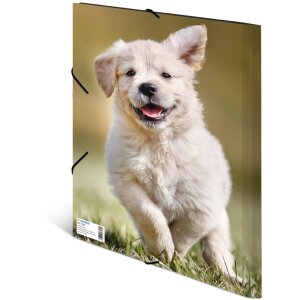 Папка для писем HERMA A4 с эластичным ремнем