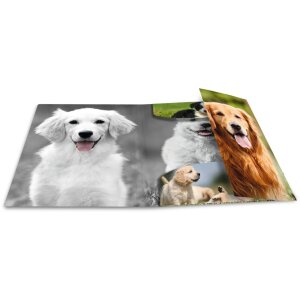 Папка для писем HERMA A4 с эластичным ремнем