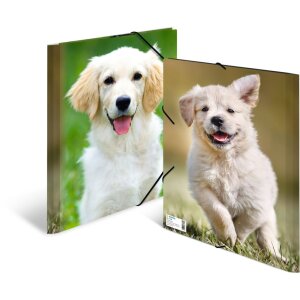 Папка для писем HERMA A4 с эластичным ремнем