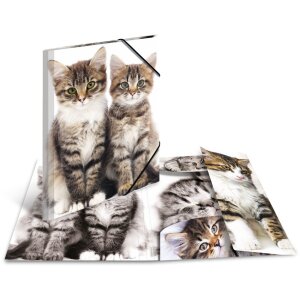 Postmappe A3 mit Gummizug Kätzchen