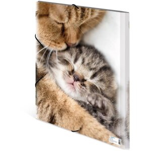 Папка для писем А3 с резиновым ремнем, котёнок