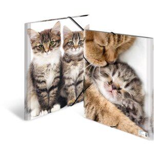 Папка для писем А3 с резиновым ремнем, котёнок