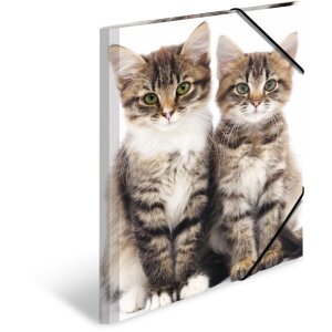 Папка для писем А3 с резиновым ремнем, котёнок