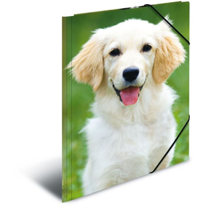 Портфель A3 с резиновым ремешком для собаки HERMA