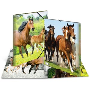 Папка A3 с резиновым фиксатором «Лошадь» от HERMA