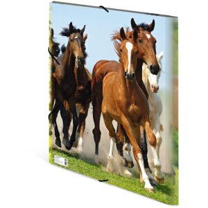 Папка A3 с резиновым фиксатором «Лошадь» от HERMA