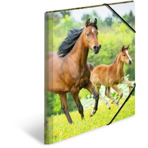 Папка A3 с резиновым фиксатором «Лошадь» от HERMA