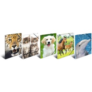 Папка для писем A3 с резиновым фиксатором Delfin, HERMA