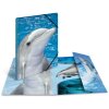 Папка для писем A3 с резиновым фиксатором Delfin, HERMA