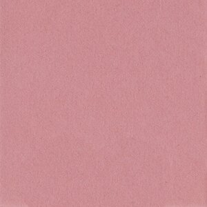 Пассатижи 20x20 см - 10x10 см Lampone