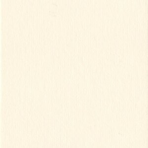 Passepartout 29,7x42 cm - 20x30 cm Conchiglia