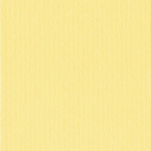 Passepartout 50x70 cm - 30x45 cm Giallo