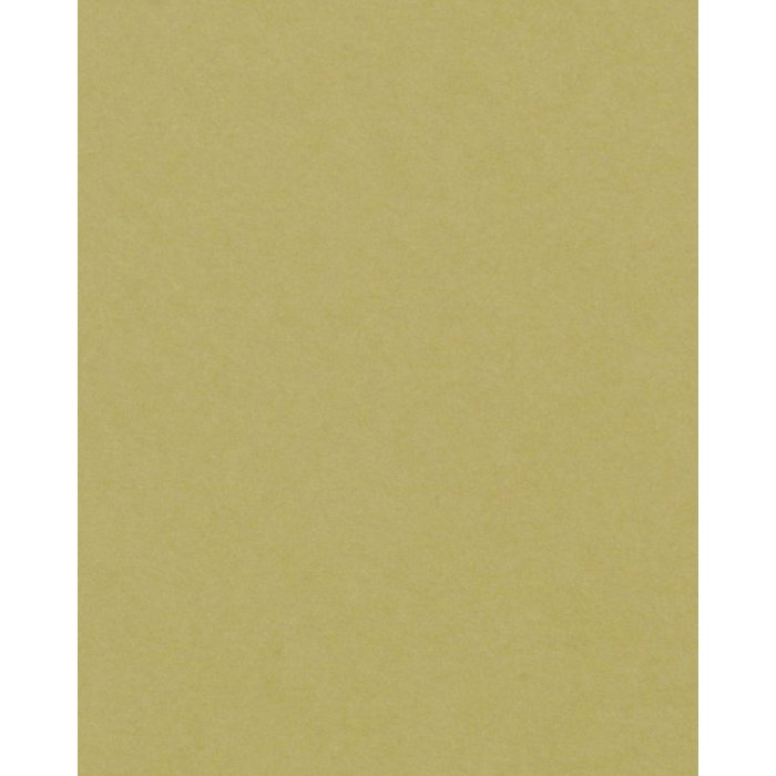 HNFD Passepartout 50x70 cm 40x50 cm Verda Artemisia 1,4 mm stark säurefrei