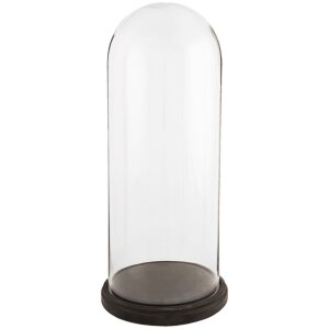 Стеклянная крышка для обеда 5GL0009 Clayre Eef