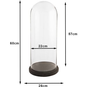 Стеклянная крышка для обеда 5GL0009 Clayre Eef