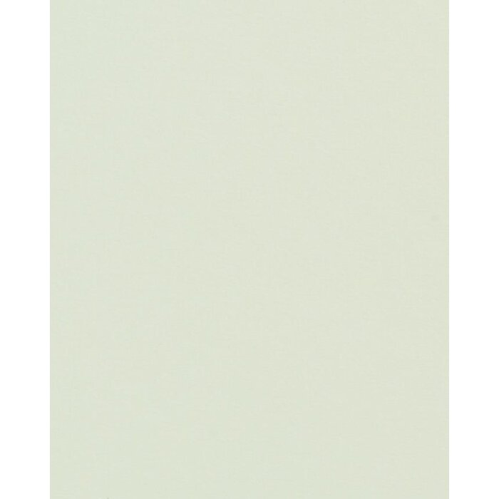 Скошенный пассатижи Verde Acqua (светло-зеленый лайм)