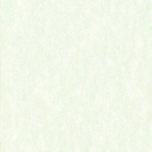 HNFD Passepartout Perg Verdino lindgrün 1,4 mm 40...