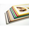 Walther New Lifestyle Galerierahmen 3-5 Fotos 10x15 13x18 15x20 cm Kunststoff