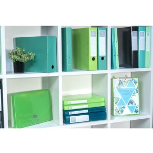 Архивная коробка Exacompta Iderama, темно-зеленая, 25x33...