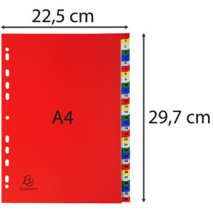 Exacompta 93E Register PP farbig mit Zahlenaufdruck 31 Fächer DIN A4 22,5x29,7cm