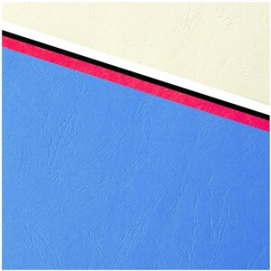 Пачка из 100 штук — Evercover формат A4, 270 г, синий