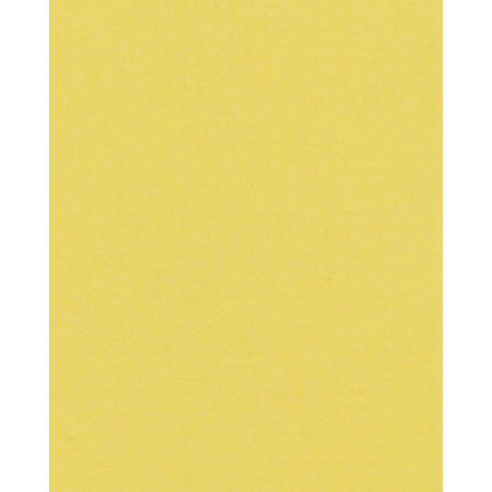 HNFD 20 карточек-разделителей для фотобоксов Giallo для фотобоксов 10x15 см