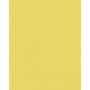 HNFD 20 карточек-разделителей для фотобоксов Giallo для...