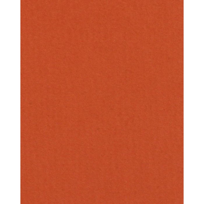 HNFD 20 карточек-разделителей для фотобоксов Corallo для фотобоксов 10x15 см