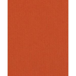 HNFD 20 карточек-разделителей для фотобоксов Corallo для фотобоксов 10x15 см