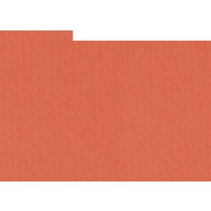 HNFD 20 карточек-разделителей для фотобоксов Corallo для фотобоксов 10x15 см