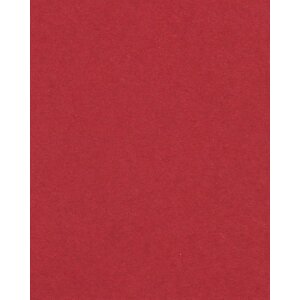 HNFD 20 карточек-разделителей для фотобоксов Rosso Cardinale для фотобоксов 10x15 см