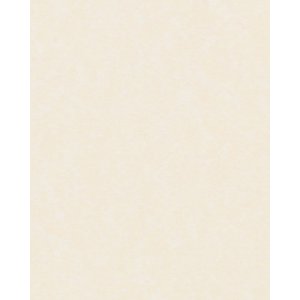 HNFD 20 карточек-разделителей для фотобоксов Perg Avorio...