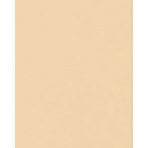 HNFD 20 карточек-разделителей для фотобоксов Albicocca для фотобоксов 10x15 см