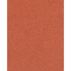 HNFD 20 карточек-разделителей для фотобоксов Terra di...