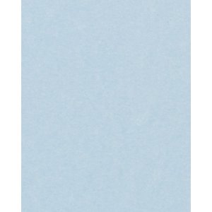 HNFD 20 карточек-разделителей для фотобоксов Perg Blue...