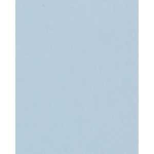 HNFD 20 карточек-разделителей для фотобоксов Celeste для...