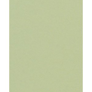 HNFD 20 карточек-разделителей для фотобоксов Verde Alga...