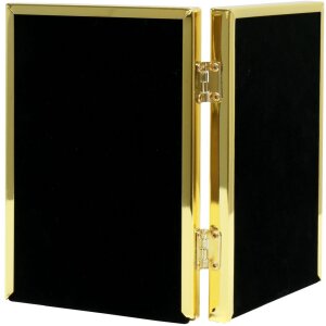 Doppelrahmen S58MT6 gold 2 Fotos 10x15 cm