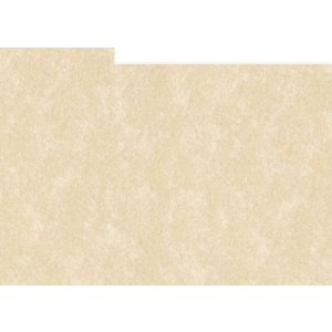 HNFD 12 разделительных карточек для фотобоксов 13x18 см -...