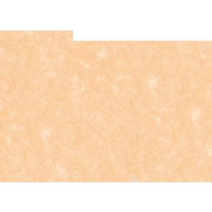 HNFD 12 разделительных карточек в фотобоксе 13x18 см -...