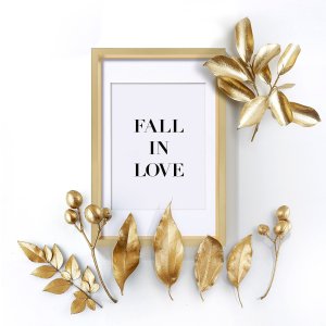 Walther Kunststoffrahmen Steel Style 20x30 cm gold mit Passepartout 15x20 cm