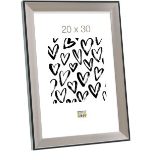 Deknudt S45FD2 Bilderrahmen Kunststoff silber 10x15 cm bis 40x60 cm