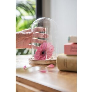 Стеклянная банка-колокол Clayre & Eef 6GL2168 - Ø 12x17 см прозрачная