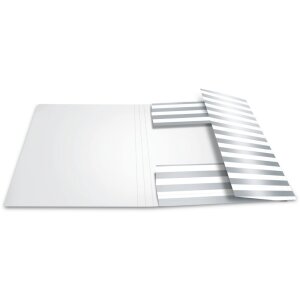 Herma Sammelmappe A4 Pappe Silberfolie Kaktus